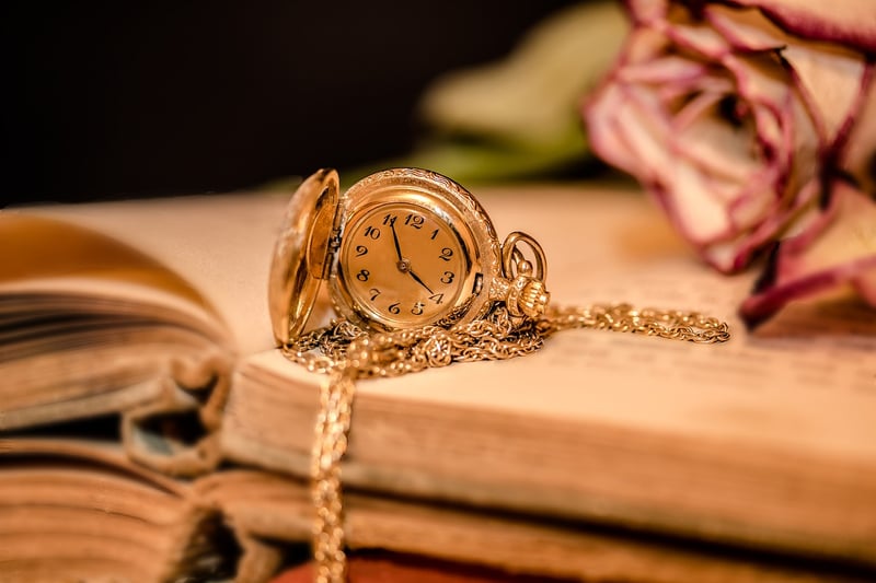 Time Traveler Image